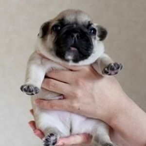 Meet your Posher, Keith